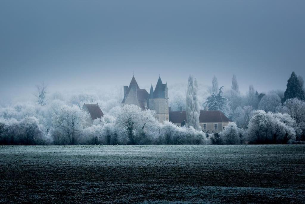 Chambre Jaune Manoir De La Vove Perche Bed & Breakfast Corbon  Bagian luar foto